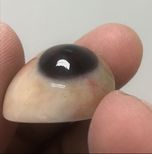 A smooth and glossy Prosthetic eye